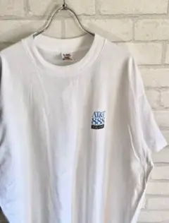 90's AT&T VINTAGE T フルーツオブザルーム ビンテージ