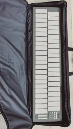 Item thumbnail for item c04c6c34-fd80-4983-8279-a8affa4de745