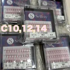 Item thumbnail for item 0cd1c717-f23e-4653-9c12-36d19029954e
