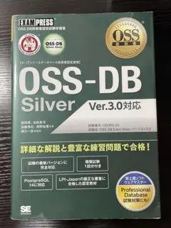 Item thumbnail for item f3f60c76-eab9-4824-8e2f-35763db91185