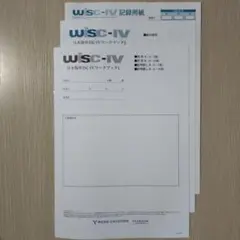 日本版 WISC-Ⅳ 知能検査 記録用紙セット