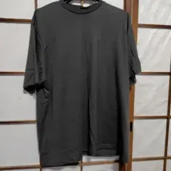 PUNYUS グレー 半袖Tシャツ 未使用