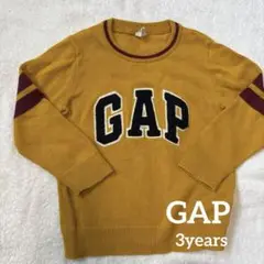 GAPセーター