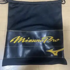 MizunoPro グラブケース 黒/金