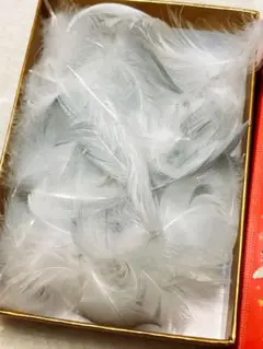 天然羽根 フェザー61個