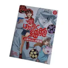 【美品⭐送料込】はたらく細胞　人体のふしぎ図鑑　匿名　からだの仕組み