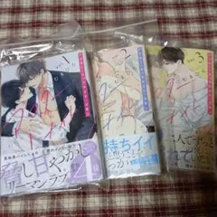 アフター・ミッドナイト・スキン 1～3巻セット