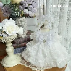 番号2301