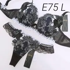 Wacoal　ワコール　サルート　84G　40周年記念　E75　BL