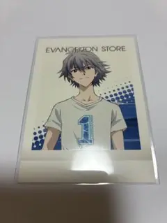 エヴァンゲリオン 渚カヲル ぱしゃこれ