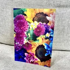 Item thumbnail for item 35f4e2cd-4f21-4d5b-b10e-3d2999e51e8d