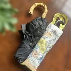 Item thumbnail for item c67cf906-8f66-43cf-9b91-0b3fc4a1b413