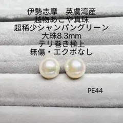 Item thumbnail for item d550b833-531d-406f-a497-06ab83dc8f1c