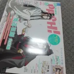 付録はピンナップのみ