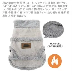 Item thumbnail for item 23e93eb2-415f-41e1-ab18-9e5c970be7ac