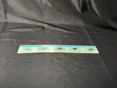 Item thumbnail for item 88f882b4-e7ca-4151-acbb-51b266f1c8eb