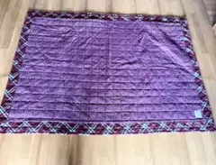 Item thumbnail for item 0766ec3c-265d-4cdc-b734-acc7a2dec91d