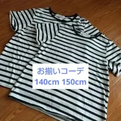 ストライプ Tシャツ 2枚セット 140と150セット