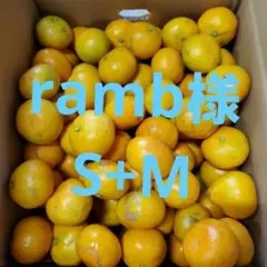 ramb様 訳あり和歌山みかん10㎏