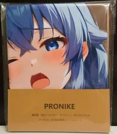 【おまけ付き】無職転生 ロキシー・ミグルディア シークレット バスタオル ロキシー （描き下ろし ロキシー・ミグルディア 120cmビッグ