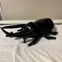 超リアル！ コーカサスオオカブトVSギラファノコギリクワガタ