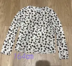 ZARA ヒョウ柄 長袖カットソー 164cm