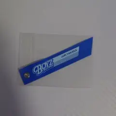 SixTONES 田中樹 BOYS 特典