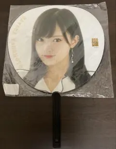 Item thumbnail for item aa528b73-7485-486c-8b3b-3ca68faeebb4