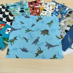 ★A285★ カットクロス/プリント生地/国産/25cm×25cm/10点
