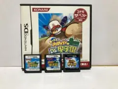 パワポケ甲子園 あつまれ！パワプロクンのDS甲子園 熱闘！パワフル甲子園セット