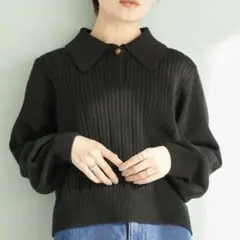 アースミュージックアンドエコロジー (F) ショート丈 リブ編みポロ襟ニット
