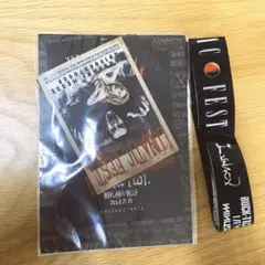 LUNATIC FEST. 2015 ステッカー　銀テープ