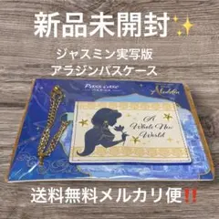 ジャスミン実写版 アラジンパスケース 新品未開封✨️ 送料無料メルカリ便‼️
