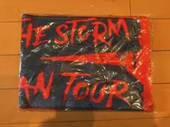 ONE OK ROCK EYE OF THE STORM タオル 新品未使用品