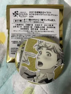 ときメモGS4 白羽大地 缶バッチ