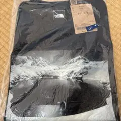 THE NORTH FACE 立山アルペンルート限定 Tシャツ　ミクリガ池