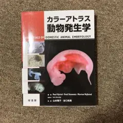 カラーアトラス動物発生学 カラーアトラス 動物発生学 | ヒッテル,ポウル, フェルステッド