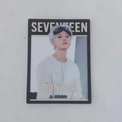 seventeen ウォヌ グミ ステッカー
