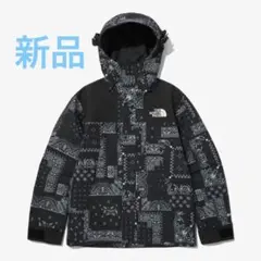 ノースフェイス GORE-TEX ECOマウンテンジャケット