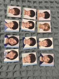 アイドル タレントカード 12枚セット