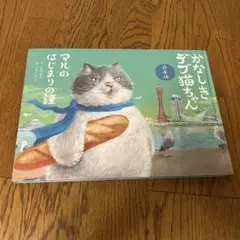かなしきデブ猫ちゃん マルのはじまりの鍵