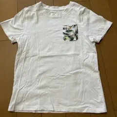 ホワイト Tシャツ 150サイズ ポケット付き