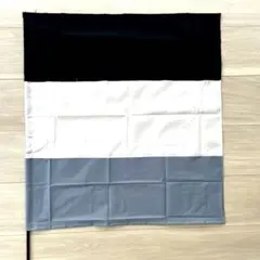 ロッテ　フラッグ　大きめサイズ