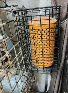 Item thumbnail for item fbdb3cc8-2e34-4f57-a85a-205d93491f49