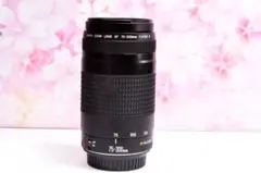 キヤノン望遠レンズ EF75-300mm Canon イベントに大活躍!