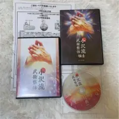 小沢流武術整体 小沢真太郎 整体 理学療法士