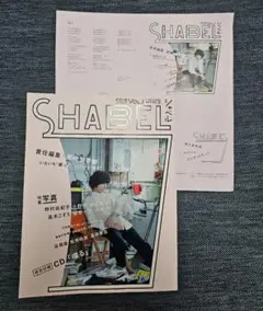 SHABEL VOL.1(2015JANUARY) 尾崎世界観 SHABEL VOL.1(2015JANUARY) 尾崎世界観 クリープハイプ - アート