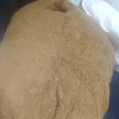 抱き枕
