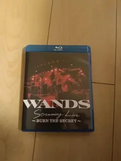 WANDS Streaming Live ~ BURN THE SECRET ~