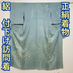 KP2174 絽 付下げ訪問着 身丈161cm 夏着物 正絹